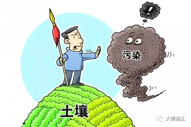 守护沃土良田，筑基智造新城——洛江区出台土壤污染防治工作方案，为生态新城区建设提供坚实保障