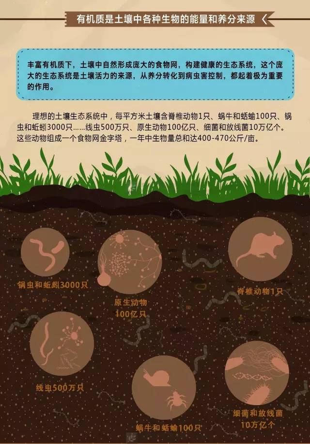 外资助力中国土壤污染治理 以“十三五”规划为唯一参与路径