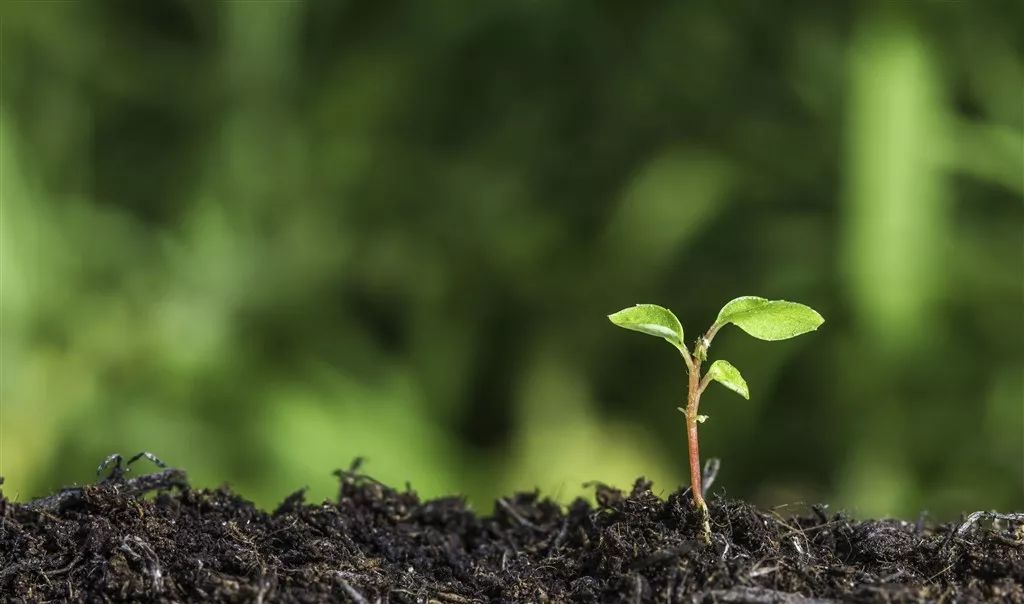 守护土壤安全，汇聚专业力量 新余市生态环境局公开征集土壤污染防治专家库专家